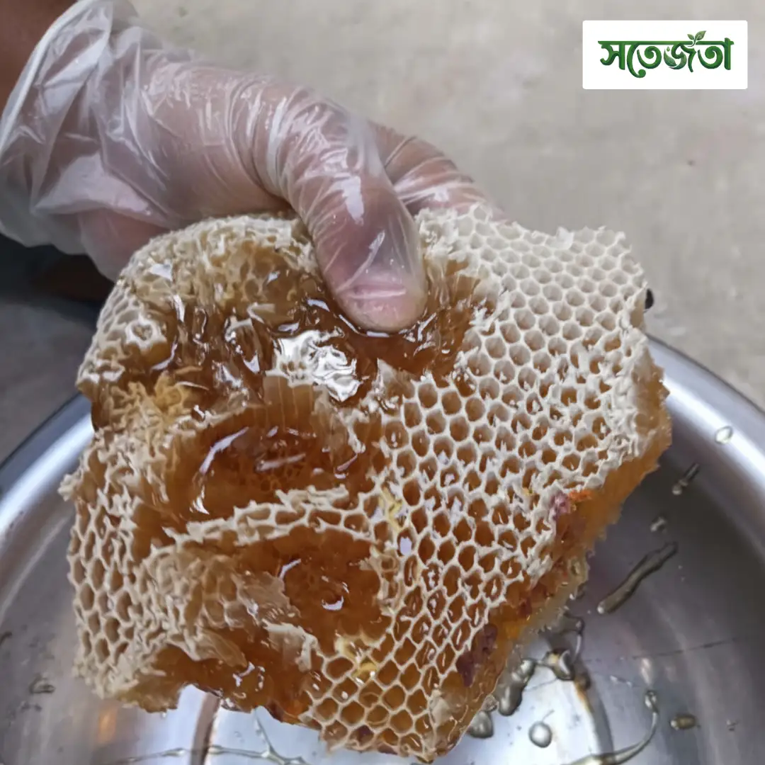 চাকসহ প্রাকৃতিক মধু/Natural Honeycomb 1kg - Image 2