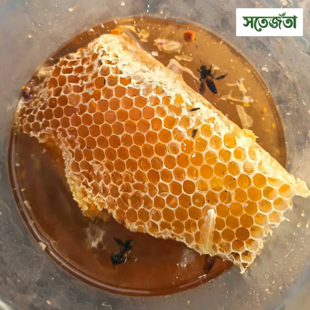 চাকসহ প্রাকৃতিক মধু/Natural Honeycomb 1kg - Image 7