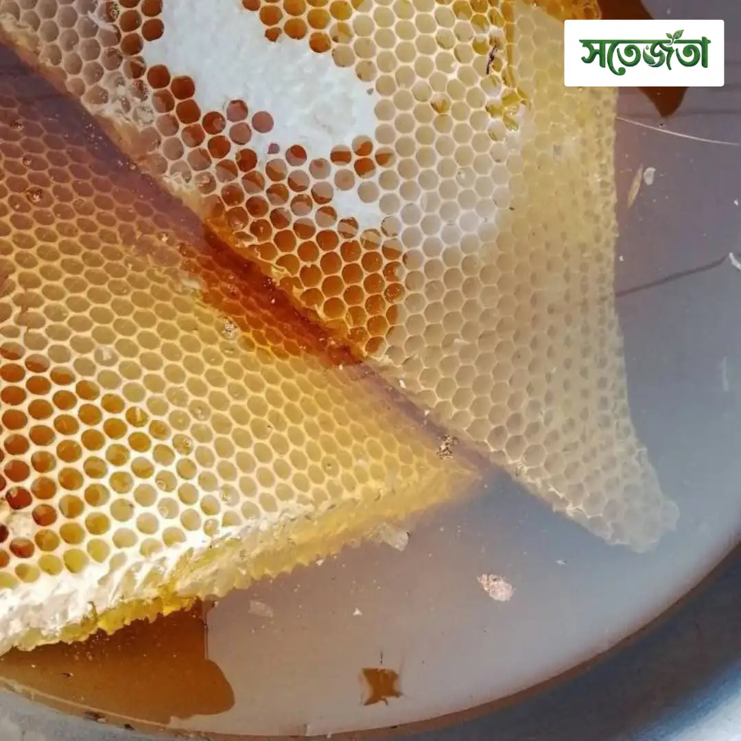 চাকসহ প্রাকৃতিক মধু/Natural Honeycomb 1kg - Image 4